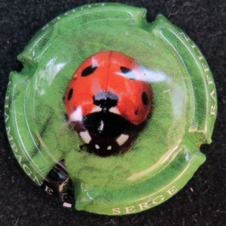 Capsule Muselet  champagne Rafflin Serge n° 15 coccinelle fond vert