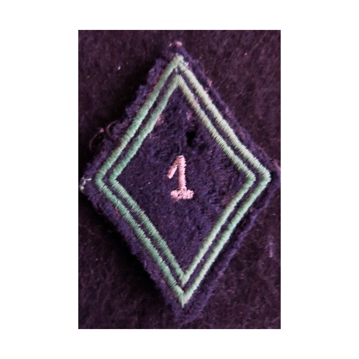 LOSANGE DE BRAS MODÈLE 45 : Ecusson modèle sous officiers du 1°régiment de chasseurs-CPCIT