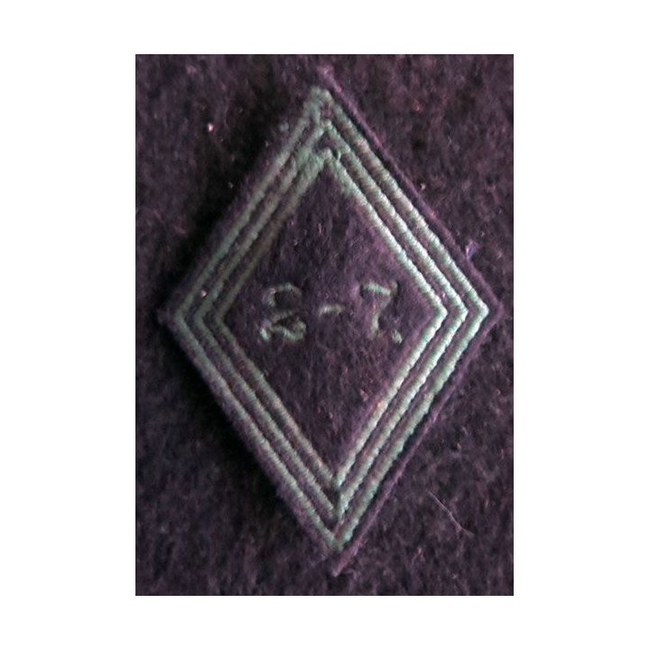 LOSANGE DE BRAS MODÈLE 45 : Ecusson modèle troupe du 2-7° régiment de chasseurs AFN