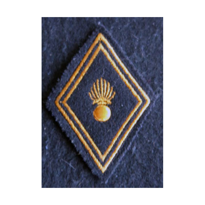 LOSANGE DE BRAS MODÈLE 45 : Ecusson modèle troupe centre d'Instruction des troupes aéroportées ETAP, BETAP 1957