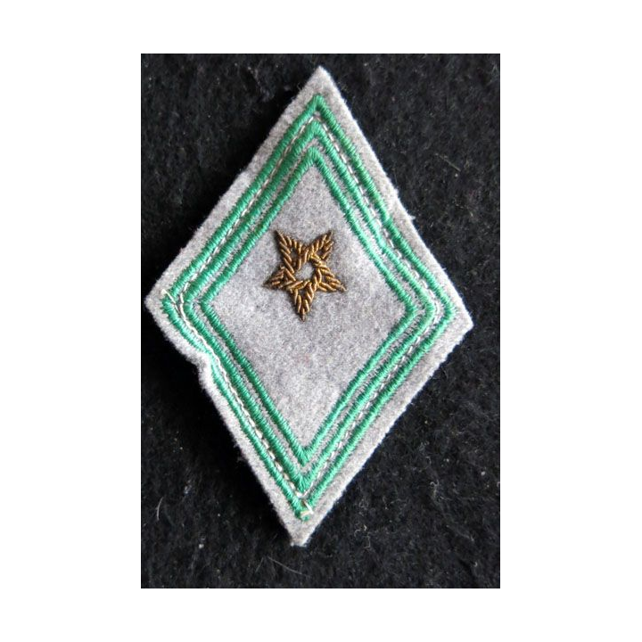 LOSANGE DE BRAS MODÈLE 45 : modèle officier hors unité régiment de tirailleurs marocains cannetille 1954