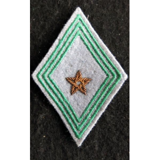 LOSANGE DE BRAS MODÈLE 45 : modèle officier hors unité régiment de tirailleurs marocains cannetille 1954