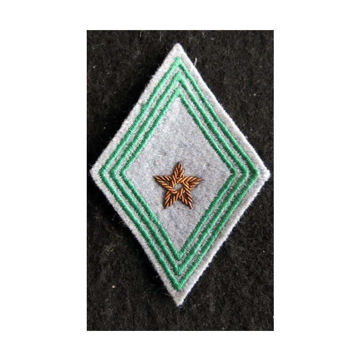 LOSANGE DE BRAS MODÈLE 45 : modèle officier hors unité régiment de tirailleurs marocains cannetille 1954