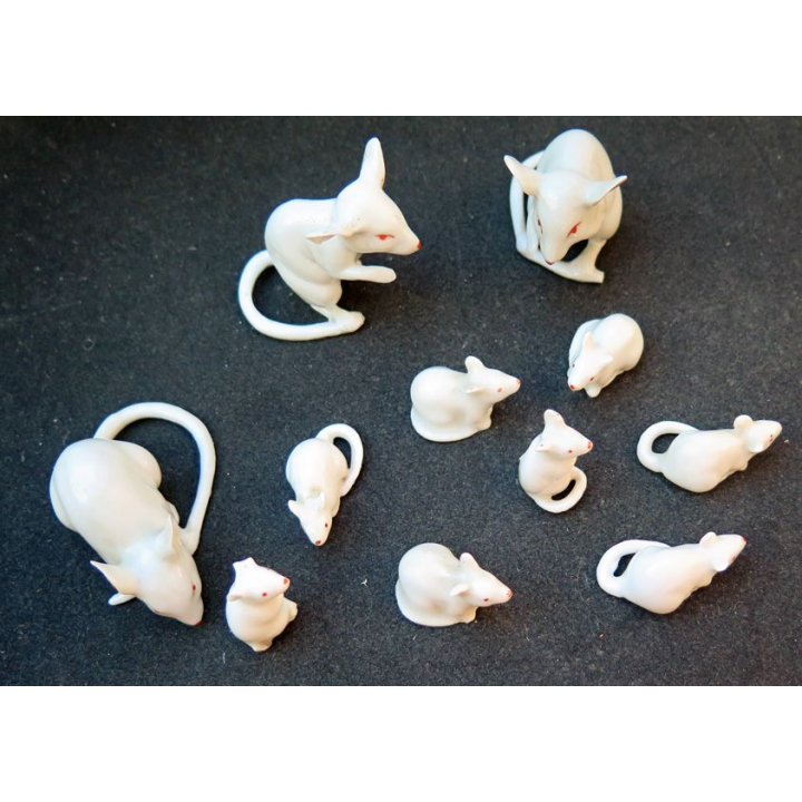 Lot de souris en céramique 3 grandes et 8 petites (quelques petits éclats)