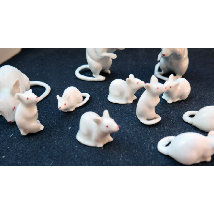 Lot de souris en céramique 3 grandes et 8 petites (quelques petits éclats)