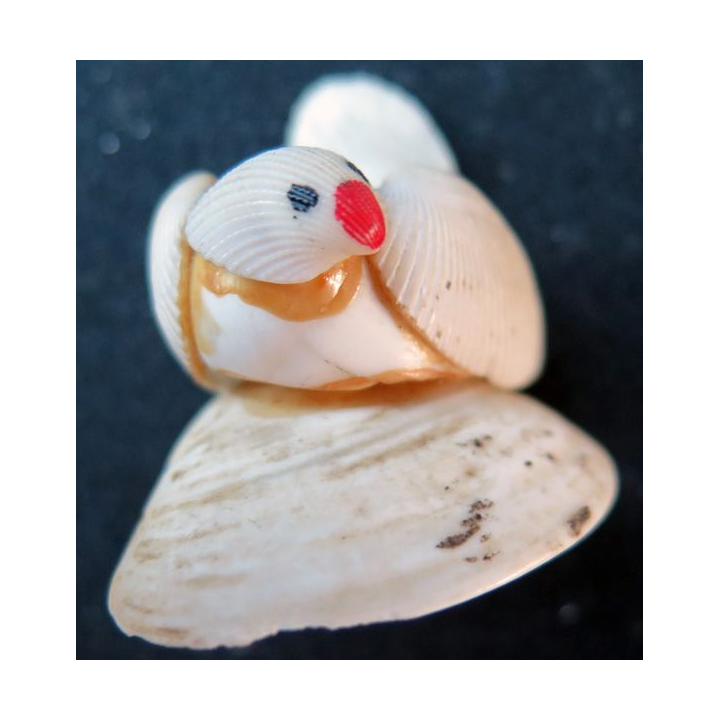 oiseau en coquillage (4 x 2,5 cm)