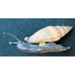 escargot en fer et coquillage (6 x 2 cm)