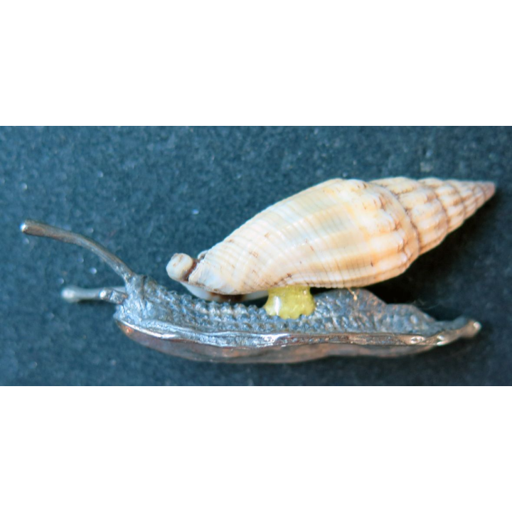 escargot en fer et coquillage (6 x 2 cm)