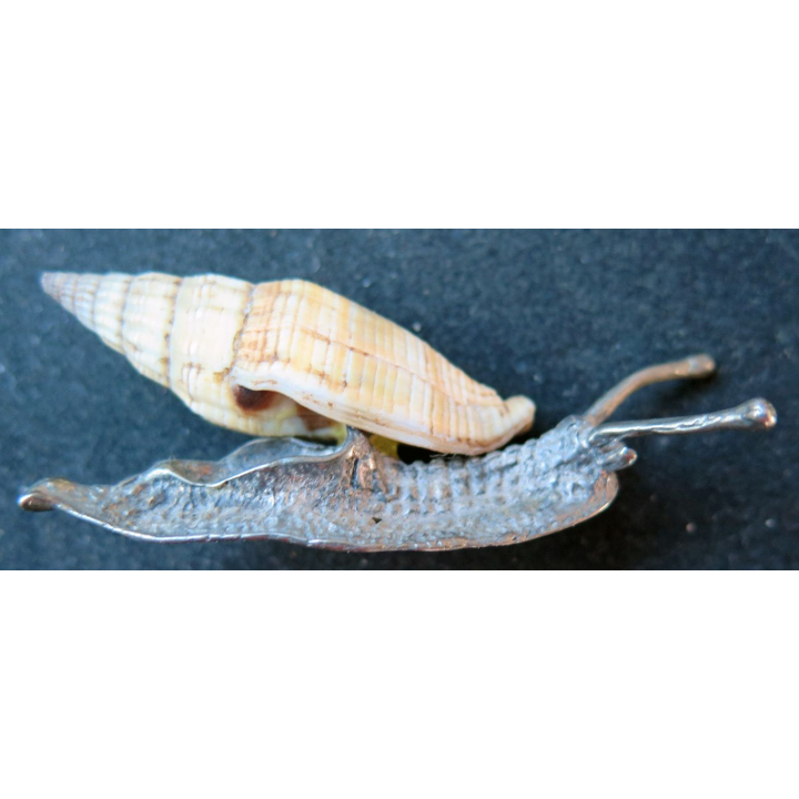 escargot en fer et coquillage (6 x 2 cm)