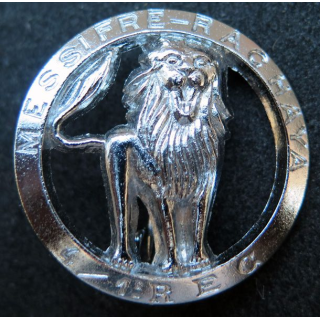 1° REC 4° escadron du 1° Régiment étranger de cavalerie Drago R 75