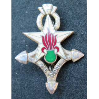 2° CSPLE 2° compagnie saharienne portée de Légion Étrangère Drago R74