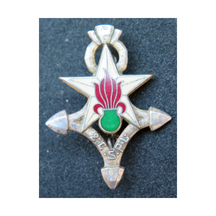 2° CSPLE 2° compagnie saharienne portée de Légion Étrangère Drago R74