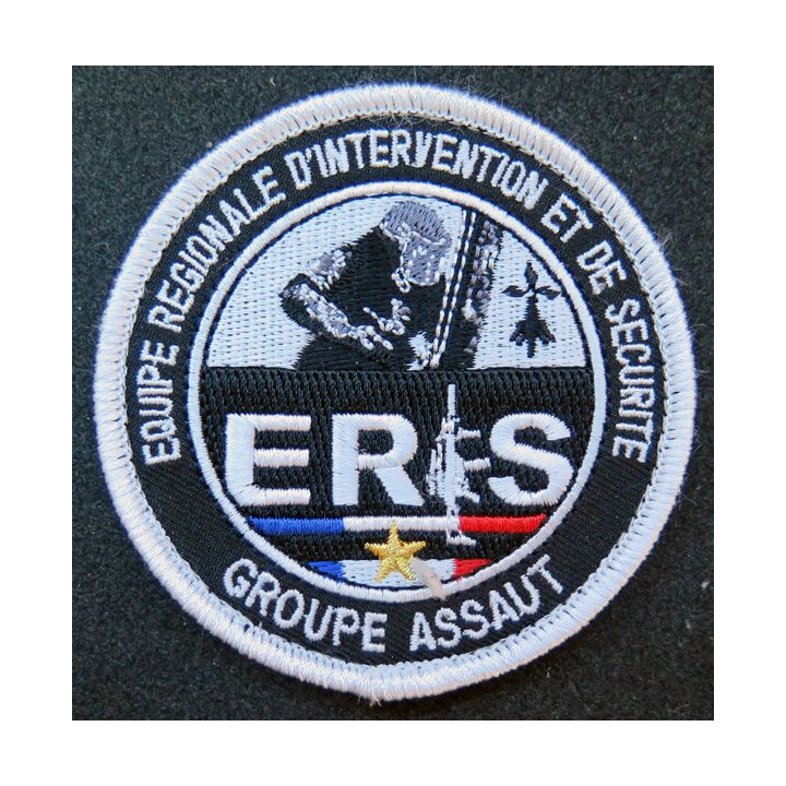 ERIS 35 Insigne groupe assaut équipe régionale intervention sécurité