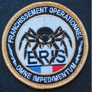 Insigne tissu Franchissement opérationnel ERIS 35