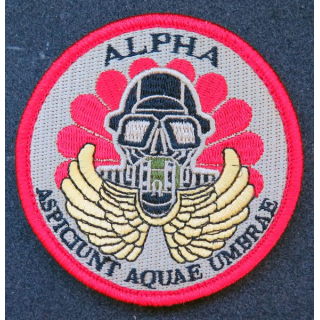 13° RDP : Insigne tissu Alpha aspiciunt aquae umbrae du 13° RDP