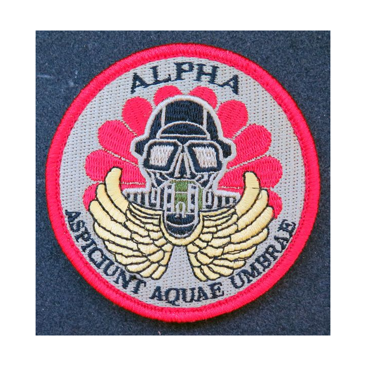 13° RDP : Insigne tissu Alpha aspiciunt aquae umbrae du 13° RDP