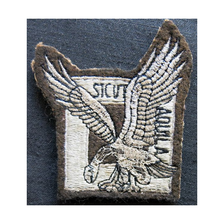 INSIGNE TISSU des commandos de l'air "Sicut Aquila"