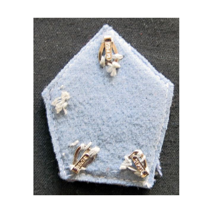 PATTES DE COL (la paire) : modèle officier de l'école d'application de la cavalerie en cannetille