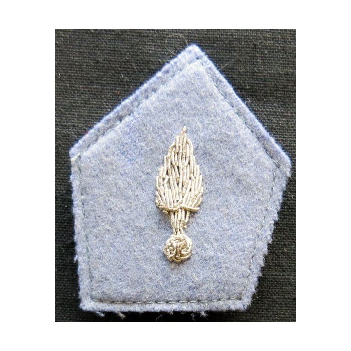 PATTES DE COL (la paire) : modèle officier de l'école d'application de la cavalerie en cannetille