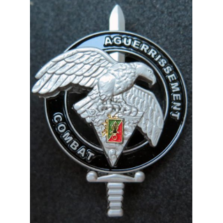 2° REP brevet commando aguerrissement combat 2° étranger para IMC