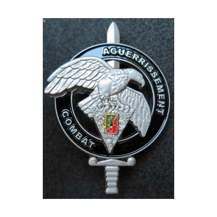 2° REP brevet commando aguerrissement combat 2° étranger para IMC