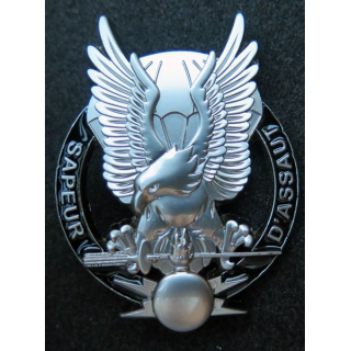 17° RGP Brevet sapeurs d'assaut du 17° Régiment du génie parachutiste