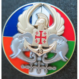 17° RGP 43° BIMA 1° Cie 17° régt génie parachutiste 43° Bima en RCI IMC