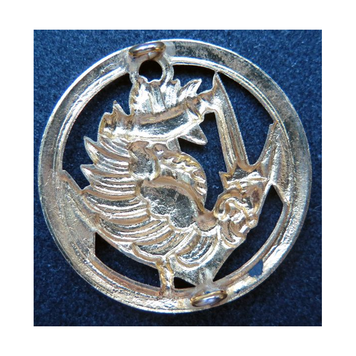 insigne de béret des troupes aéroportées d'infanterie de marine 1970