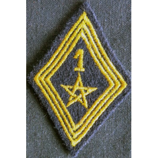 LOSANGE DE BRAS MODÈLE 45 :  modèle troupe 1° régiment de spahis marocain AFN