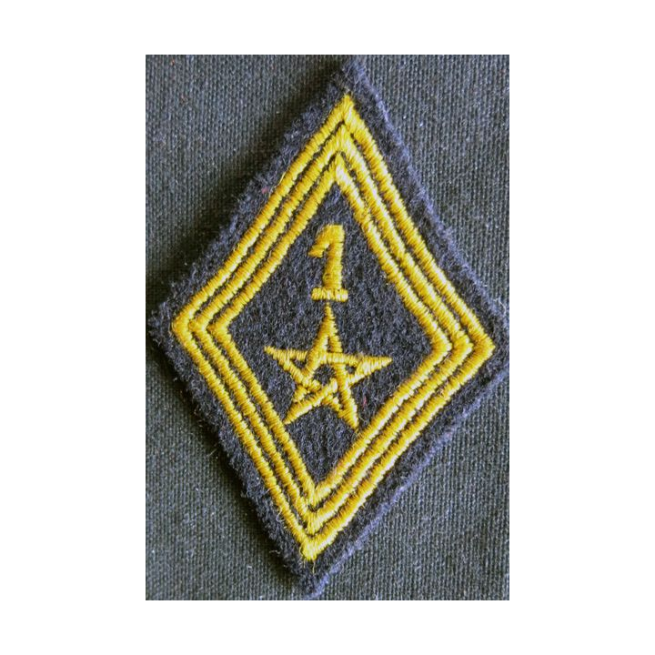 LOSANGE DE BRAS MODÈLE 45 :  modèle troupe 1° régiment de spahis marocain AFN