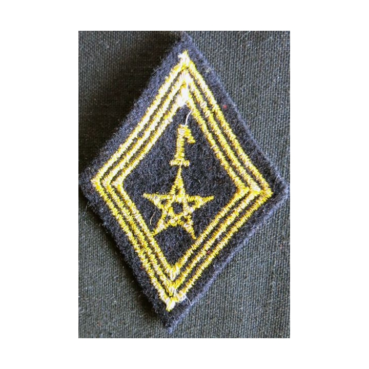 LOSANGE DE BRAS MODÈLE 45 :  modèle troupe 1° régiment de spahis marocain AFN