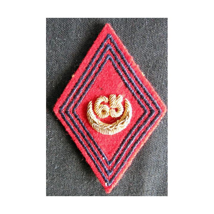 LOSANGE DE BRAS MODÈLE 45 : Ecusson officiers du 65° régiment d'artillerie d'Afrique 1958 en cannetille