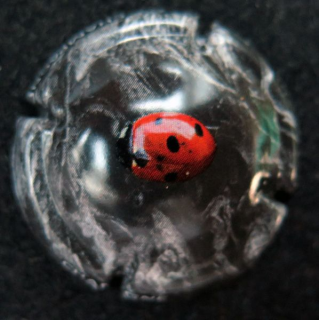 Capsule Muselet de bouteille de champagne génériaque NATURAE