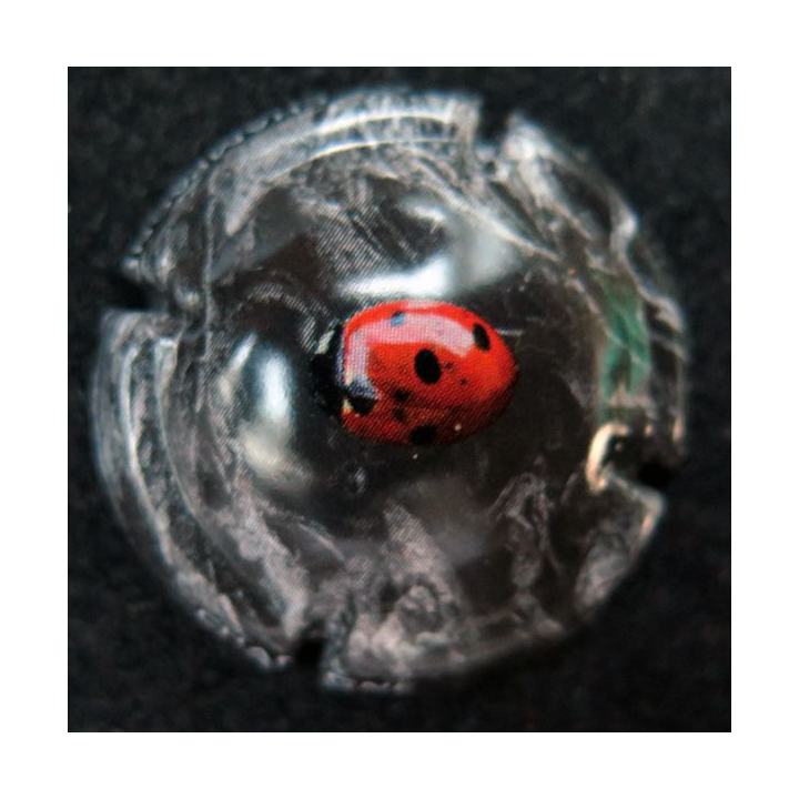 Capsule Muselet de bouteille de champagne génériaque NATURAE
