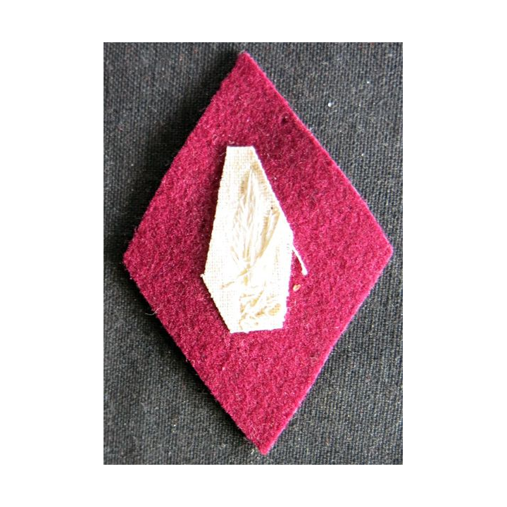 LOSANGE DE BRAS MODÈLE 45 : officier administration du Service de santé des armées en cannetille