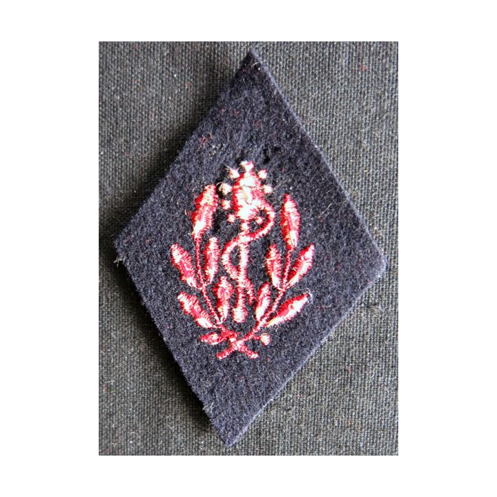 LOSANGE DE BRAS MODÈLE 45 :   personnel troupe coloniale du Service de santé militaire