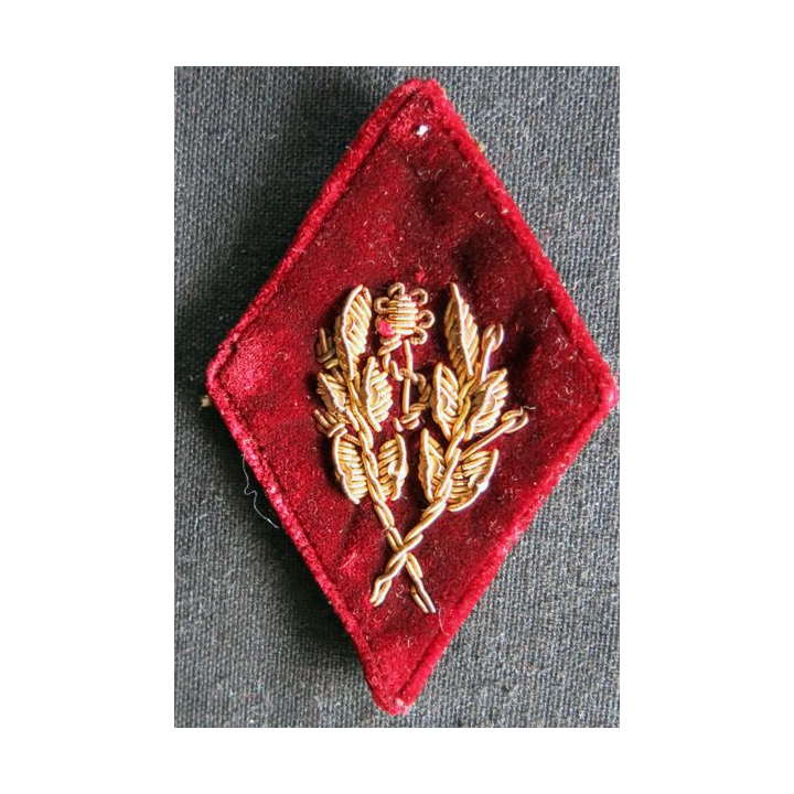 LOSANGE DE BRAS MODÈLE 45 :  officier médecin du Service de santé des armées sur velours cramoisi AFN