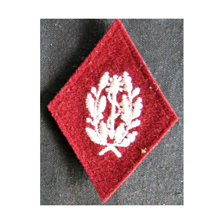 LOSANGE DE BRAS MODÈLE 45 :  auxiliaire sanitaire troupe du Service de santé des armées