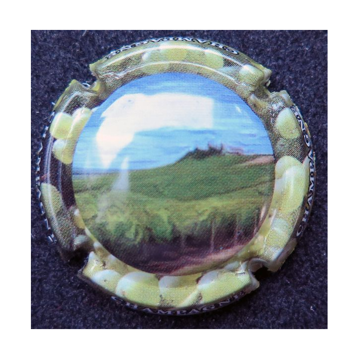 Capsule Muselet de bouteille de champagne générique n° 1003b vignes