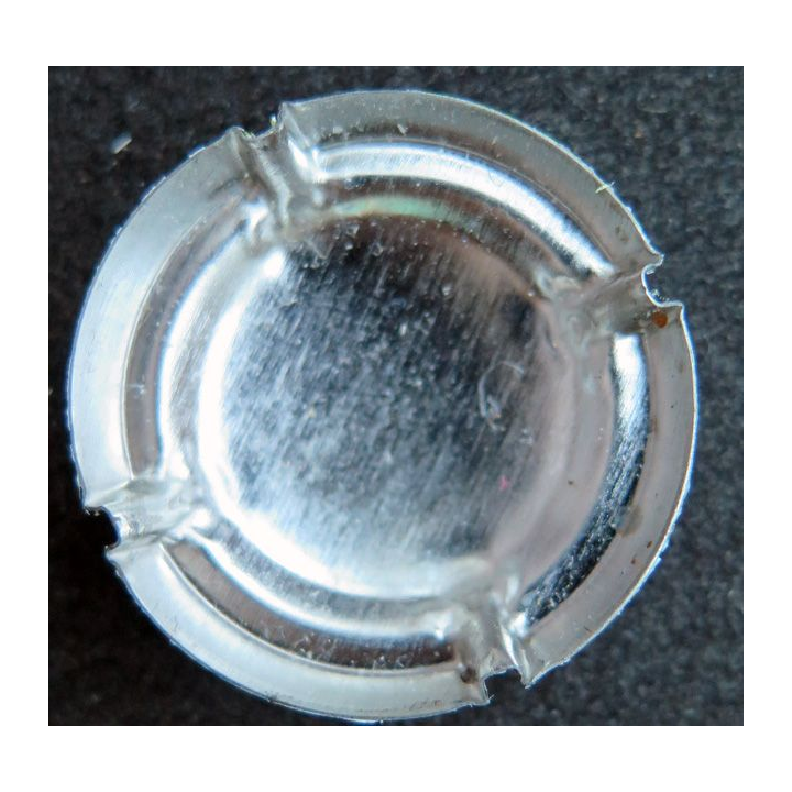 Capsule Muselet de bouteille de champagne générique n° 1003b vignes