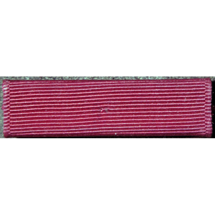 USA : Rappel de la médaille Navy Good Conduct medal