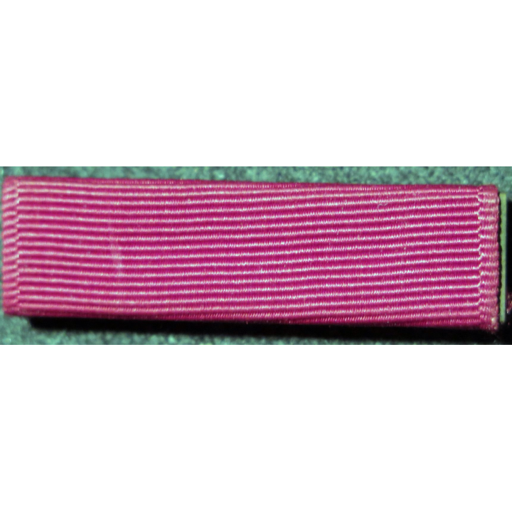 USA : Rappel de la médaille Navy Good Conduct medal