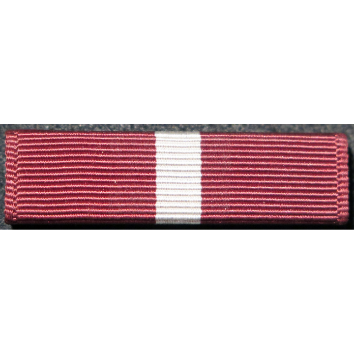 USA : Rappel de la médaille Coast Guard Good Conduct medal