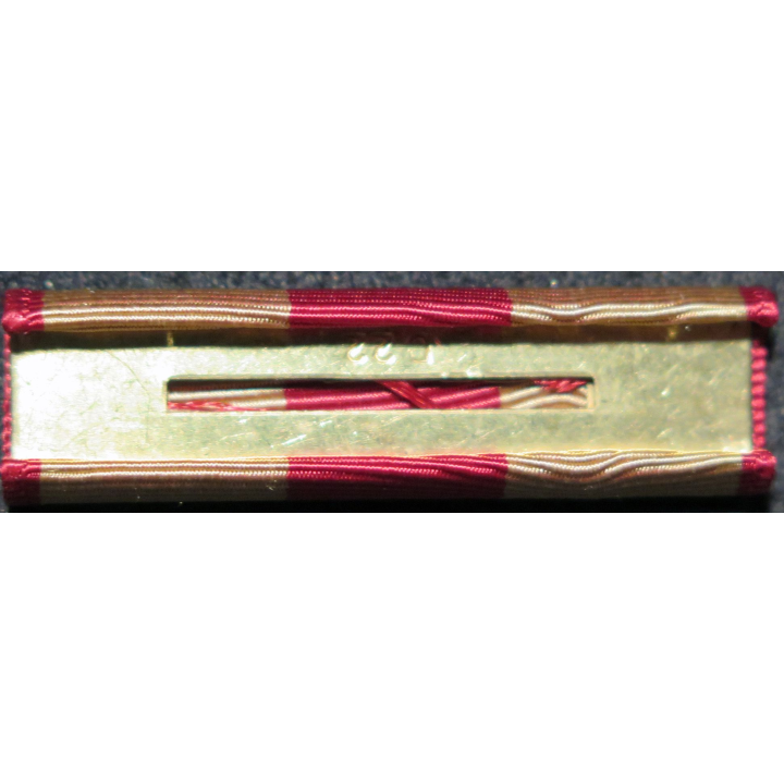 USA : Rappel de la médaille Marine Corps Expeditionary medal