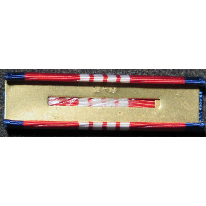 USA : Rappel de la médaille Coast Guard Meritorious Team Commendation medal