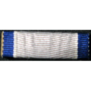 USA : Rappel de la médaille Silver Lifesaving medal