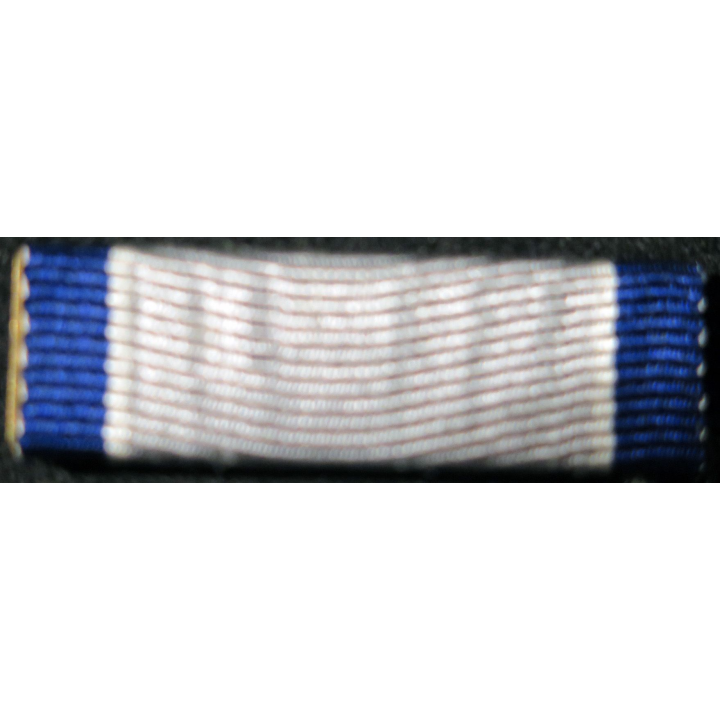 USA : Rappel de la médaille Silver Lifesaving medal