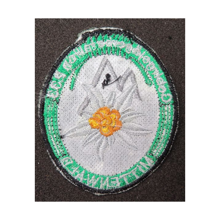ALLEMAGNE : insigne tissu du 233° Gebirgsjägerbataillon de Mittenwald