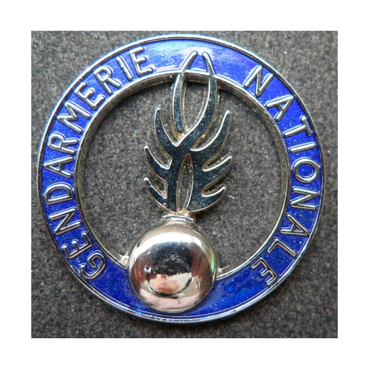plaque de la  Gendarmerie nationale bleu translucide