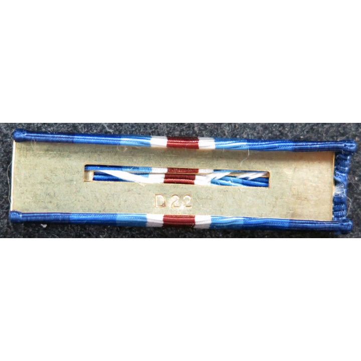 USA : Rappel de la médaille Coast Guard Restricted Duty medal